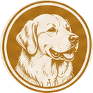 Golden Retrievers